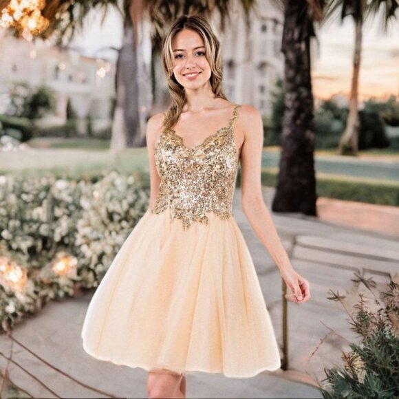 Cinderella Divine Sequin Fit & Flare Mini Party Dress Sleeveless Tulle Skirt XS - Picture 1 of 12